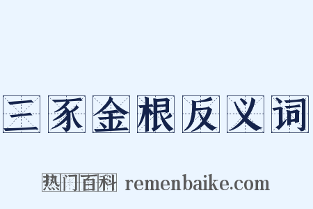 三豕金根反义词是什么意思的图片